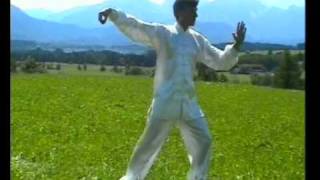 Tai Chi Chuan  Taiji Traditioneller Yang Stil  108er Langform 2 Teil [upl. by Akenit]