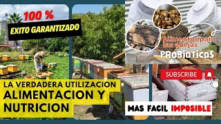 Estrategia Anual de Alimentación Proteica para tener las mejores abejas durante todo el año [upl. by Azelea]