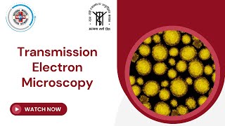 Transmission Electron Microscopy [upl. by Calia]