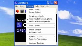 CamStudio Tutorial [upl. by Aremaj]