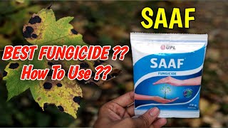 How To Use Saaf Fungicide On Plants In Hindi  Best Fungicide  Carbendazim 12  Mancozeb 63 WP [upl. by Breena]