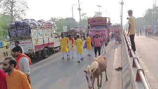 narkatiaganj mata ka doli 🙏 [upl. by Ibocaj]