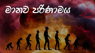 පරිණාමය Sinhala Wadan Sinhala Nisadas  Hithata Wadina Wadan පරිණාමය පරිණාමයconcert [upl. by Elyad475]