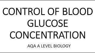 CONTROL OF BLOOD GLUCOSE CONCENTRATION  AQA A LEVEL BIOLOGY  EXAM QUESTIONS RUN THROUGH [upl. by Hercules105]