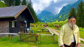 Life in a Swiss Alpine Village  We released thousands of cows in the mountains and green meadows [upl. by Corrine]