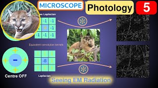 Photology 5 Seeing Electromagnetic Radiation EMR [upl. by Figueroa]