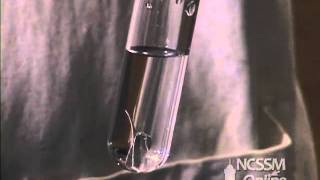 Reaction of Magnesium and Water [upl. by Lula]