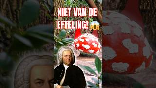 MUZIEK PADDENSTOELEN NIET VAN DE EFTELING 😱  efteling sprookjesbos sebastianbach shorts [upl. by Ahouh106]