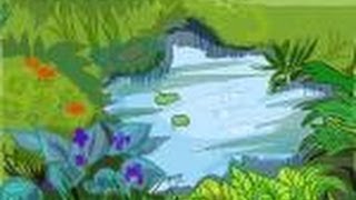 How to draw a Pond [upl. by Huesman]