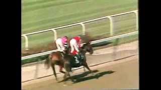 Affirmed  1978 Belmont Stakes CBS footage [upl. by Brandi]