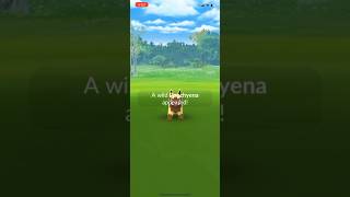 Shiny Poochyena in the Wild dodgemon shinypokemon poochyena pokemon [upl. by Charley]