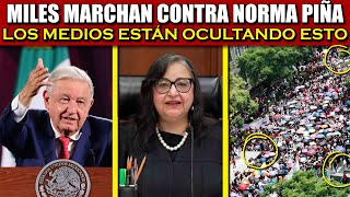 ¡NOTICIÓN  PRIISTAS SE VENDEN  PIÑA AL BOTE AMLO YA TIENE LISTO AL TIGRE amlo ¡EN VIVO [upl. by Innis]