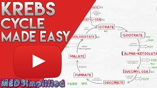 KREBS CYCLE MADE SIMPLE  TCA Cycle Carbohydrate Metabolism Made Easy [upl. by Aisatna]