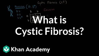 What is cystic fibrosis  Respiratory system diseases  NCLEXRN  Khan Academy [upl. by Dnomasor908]