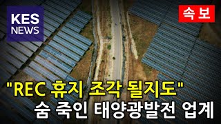 태양광 전문가曰 quot올해 REC 가격 하락 심상치 않아quot [upl. by Deron]