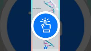 DNA Base Pairing  Nitrogenous Bases [upl. by Ettesel]