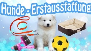 HundeErstausstattung  Welpe Erstausstattung  Das braucht ein Hund bzw Welpe [upl. by Valeda]