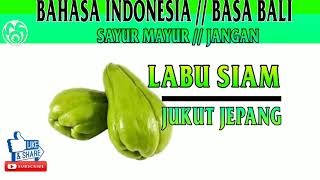 Macam  macam nama dan jenis sayur mayur  jangan jukutjukutan [upl. by Aridatha]