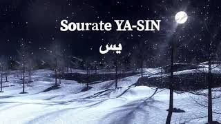 SourateCoran YaSin سورة يس  Magnifique Récitation Qui Apaise Le Cœur et Qui Protège du Mal [upl. by Irrak]