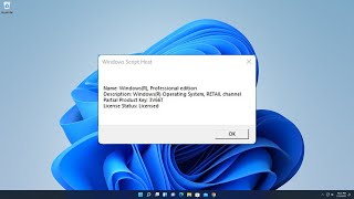 How to Tell If Windows 11 License is Retail or OEM [upl. by Ashli681]