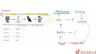 The given illustration represents a food chain operating in a forestWhich organism is the decom [upl. by Carlina400]