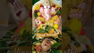 Vinayak Chaturthi 2k24  Jay Gajanan Ganapati Maharaj ki Jay  Bakratunda Mahakaya Suryakoti Samaprb [upl. by Nowyt609]