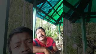 Amay Tumi Mone rakho na rakhoshort banglanewsong2022 monirkhan banglasongtrending [upl. by Mara]