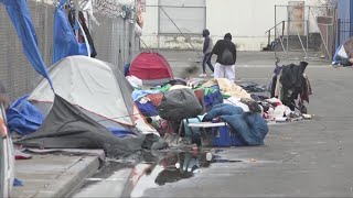 Homeless crisis 30 of USs unhoused in California [upl. by Lias]