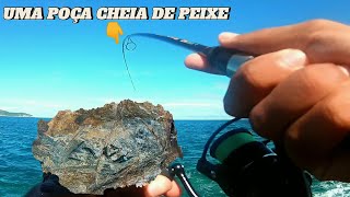 UMA POÇA CHEIA DE PEIXES PESCARIA ULTRA LIGHT NAS PEDRAS DA PRAIA COM MICRO ISCAS ARTIFICIAIS [upl. by Freyah]