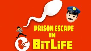 HOW TO ESCAPE EVERY PRISON IN BITLIFE UPDATED EASIEST WAYS TO ESCAPE 8X8 PRISONS [upl. by Cranford]