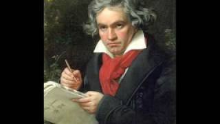 Symphony 5 Beethoven [upl. by Nnairrehs]