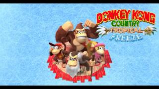 Music Donkey Kong Country Tropical Freeze  Panicky Paddles [upl. by Airdnekal]