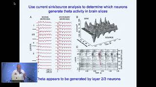 2024 TSC WORKSHOP 2  NEUROPHYSIOLOGY OF LOSS amp RECOVERY OF CONSCIOUSNESS v2 [upl. by Yelnik438]