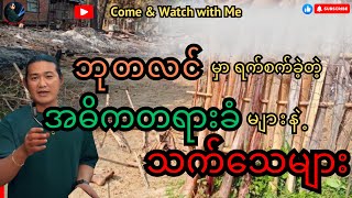 quotဘုတလင်မှာ ရက်စက်ခဲ့တဲ့ အဓိက တရားခံများနဲ့သက်သေများquot reactionvideo politicalnews update [upl. by Jarita]