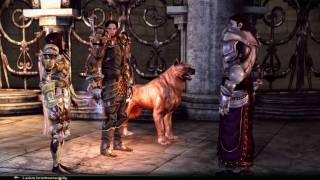 Lets Play Dragon Age Hexenjagd 002 Deutsch HD  Der Turm des Zirkels der Magi [upl. by Yhotmit539]