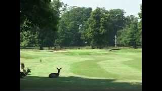 Belton Park Golf Club Holes 1  18 [upl. by Dygert525]