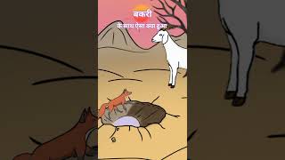 Bechari bakari  bakari aur lomadi ki kahanirekhakari [upl. by Essirahs]