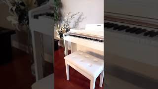 Donner DDP100 Digital Piano Review by allikats5 [upl. by Nylesoj118]