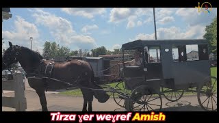 Vivre sa kabylité en Pennsylanie USA un des fiefs importants des Amish [upl. by Ahsaeym]