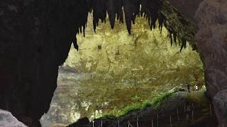 Rio Camuy Cave Puerto Rico 4K [upl. by Nawram]