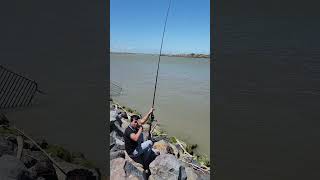 fishing at castlecliff whanganui another great day zero catch [upl. by Tisbe104]