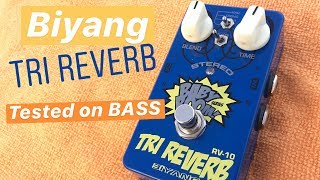 BIYANG Tri Reverb RV10 Baby Boom series MONO and STEREO Tested on BASS [upl. by Wurster]