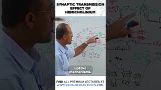 Synaptic Transmission Effect of Hemicholinium drnajeeblectures youtubeshorts [upl. by Yrac]