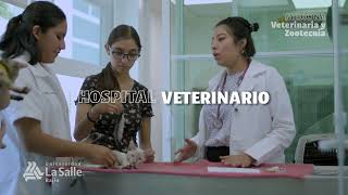 Medicina Veterinaria y Zootecnia [upl. by Mungovan]