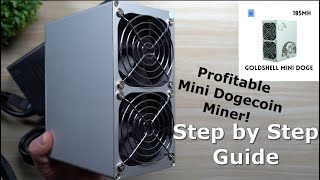 Mini Dogecoin  Litecoin Miner  Affordable amp Profitable  Step By Step Setup [upl. by Maya254]