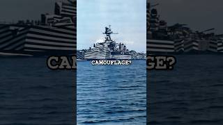 What is this Navy Dazzle Camouflage [upl. by Cavan]