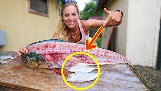 How To Fillet a Mahi Mahi amp see what I found in the belly [upl. by Kcub395]