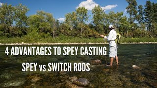 Spey vs Switch Rods and Spey Casting Advantages [upl. by Derman]