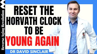 RESET The Horvath Clock To Be YOUNG AGAIN  Dr David Sinclair Interview clips [upl. by Macrae]