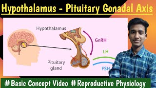 Hypothalamus Pituitary Gonadal Axis Reproductive Physiology  LecturesMBBS hindi Ashish [upl. by Bradlee]